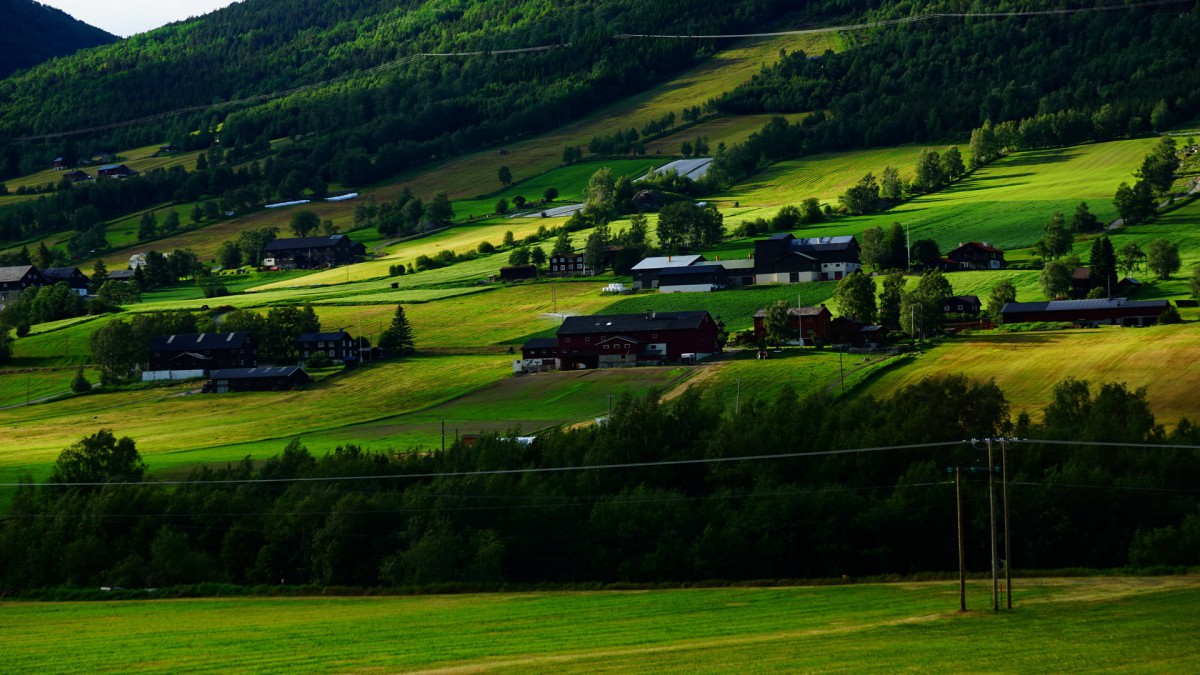 舒服点噶水电费噶是的